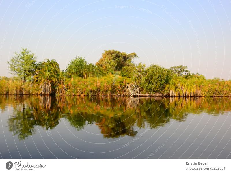 Reflections at the Okavango Delta Vacation & Travel Far-off places Expedition Summer Summer vacation Nature Landscape Water Cloudless sky Sunlight