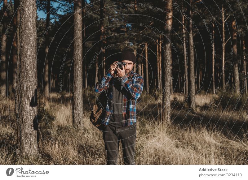Confident photographer taking picture with camera in sunny forest photography confident evergreen tree grass dried autumn cold sunshine bearded casual