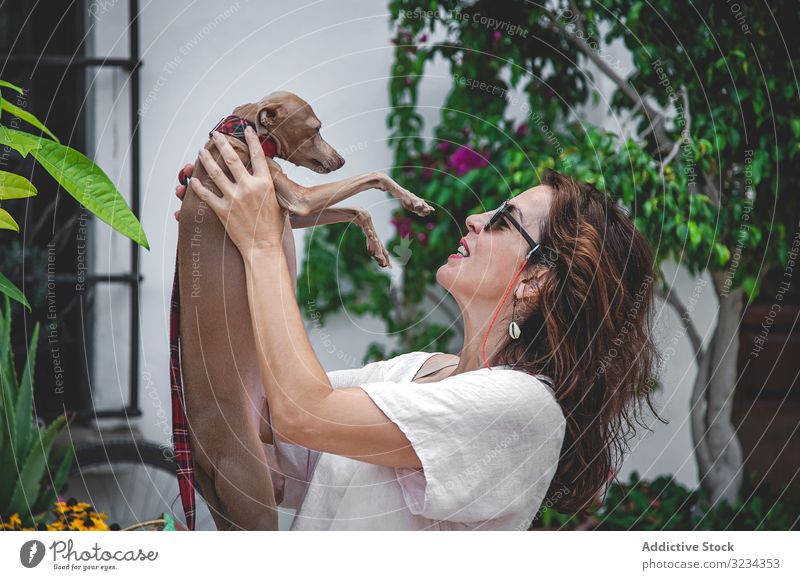 Woman kissing greyhound while relaxing on street woman dog together cuddle pet hug embrace flowerbed marbella rest calm happy animal friendship affection