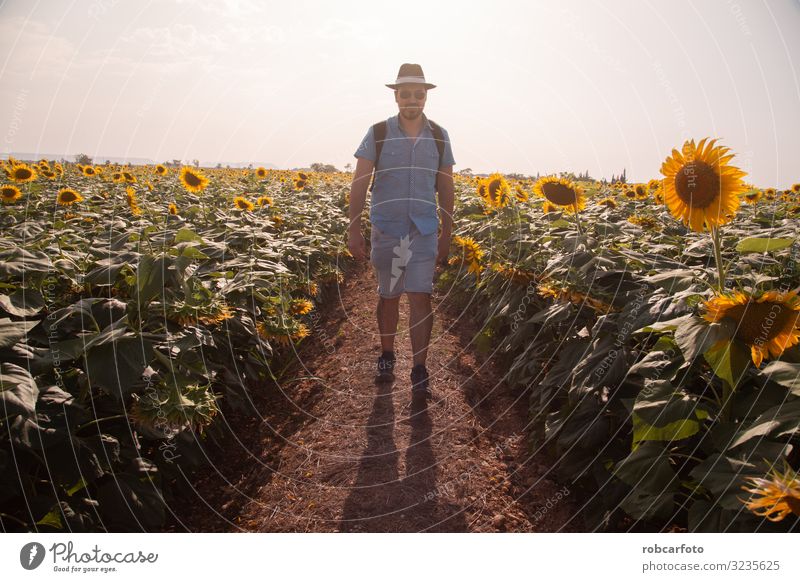 man walking through sunflowers field in Spain Lifestyle Joy Summer Hiking Man Adults Nature Landscape Sky Flower Hat Fresh Yellow Sunflower hipster artist