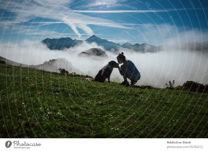 Adult tourist with dog against foggy valley under clear sky in summer mountain silhouette woman friend highland border collie atmosphere horizon loyalty