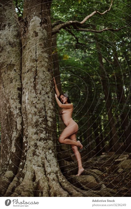 Nude sensual woman by tree in forest nude sexy body young naked plant model skin figure perfect art elegant healthy beauty pretty lady fashion attractive