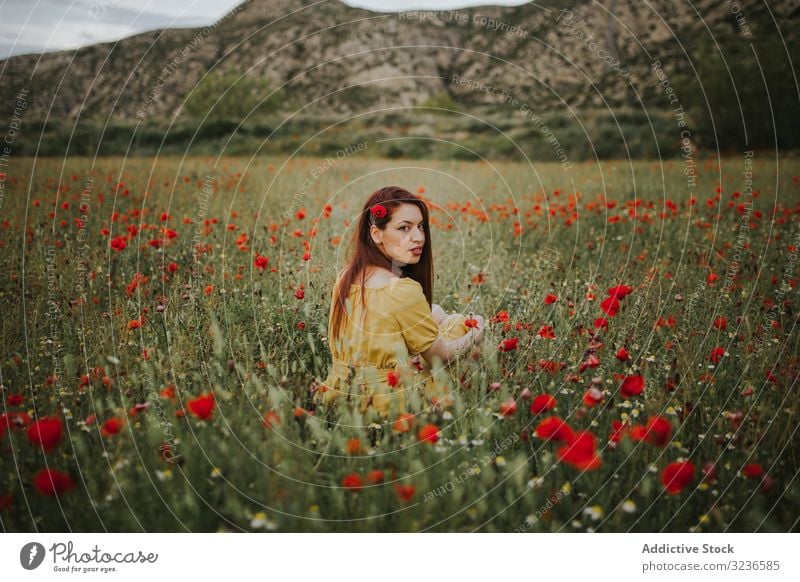 Pretty adult woman looking over shoulder at camera while sitting in field with poppies and daisies flower rural poppy daisy pensive calm red green yellow white