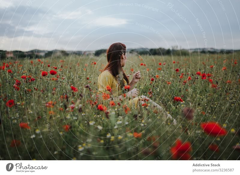 Woman sitting in field with poppies and daisies woman flower rural poppy daisy pensive calm red green yellow white effortless charm red hair chamomile