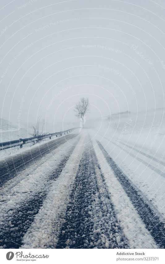 Winter snowy empty country road cloudy gloomy forest tree frozen cold misty nature winter journey season frost fog weather overcast white countryside way trace