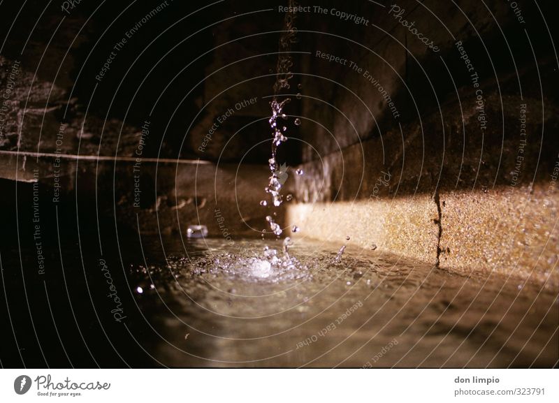 clear thawing water Drops of water Autumn Wall (barrier) Wall (building) Glittering Fluid Fresh Small Wet Pure Quality Watering Hole Analog Exterior shot Detail