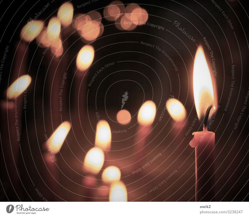 Silent intercession Church Dome Candle Candlelit ambience Candlelight Flame Candlewick Illuminate Together Many To console Grateful Serene Patient Calm Hope