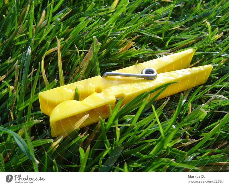 yellowPeg Clothes peg Grass Yellow Green Macro (Extreme close-up) Close-up Garden Rope dewdrop