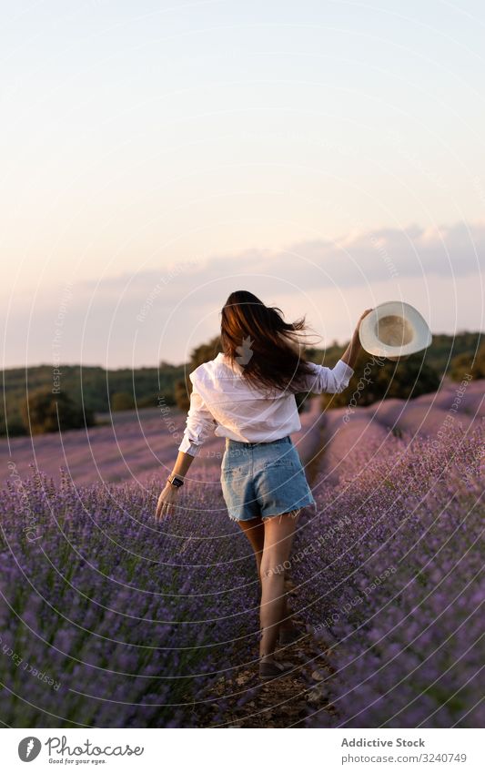 Anonymous woman walking in lavender field summer nature bush flower stylish casual female slim hat daytime flora plant growth vegetation relax rest lady trendy