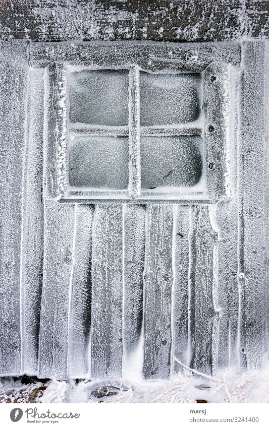 Pure cold Winter Ice Frost Snow Hut Wall (barrier) Wall (building) Window Wooden wall Cold Natural Loneliness Exhaustion Lattice window Frozen Cold shock