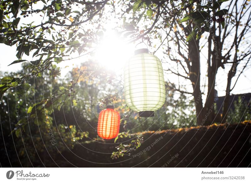 Beautiful colorful lanterns hanging on the trees with sunlight Vacation & Travel Summer Garden Decoration Lamp Feasts & Celebrations Art Culture Nature Plant