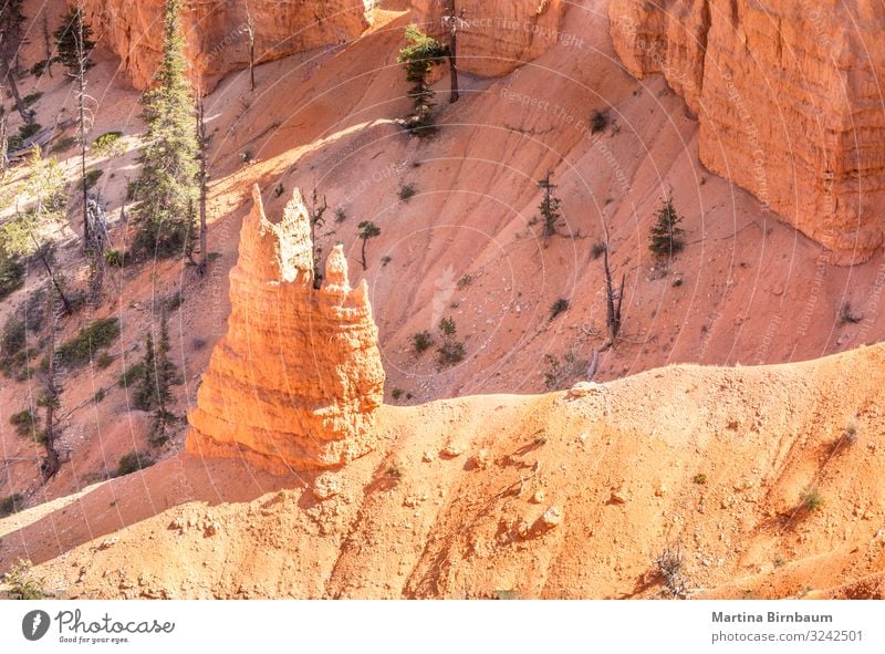 Like a chapel, hoodoo in the Bryce Canyon Utah Vacation & Travel Mountain Nature Landscape Sky Park Rock Monument Stone Gold Red Serene Amphitheatre national