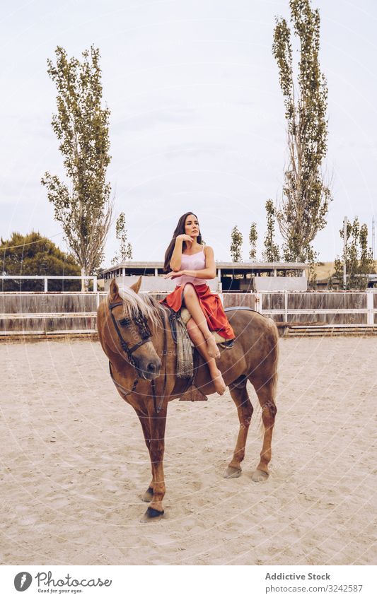 Graceful rider sitting at harnessed horse walking along paddock graceful carefree fancy woman beautiful barefoot dancer hippodrome young adult healthy