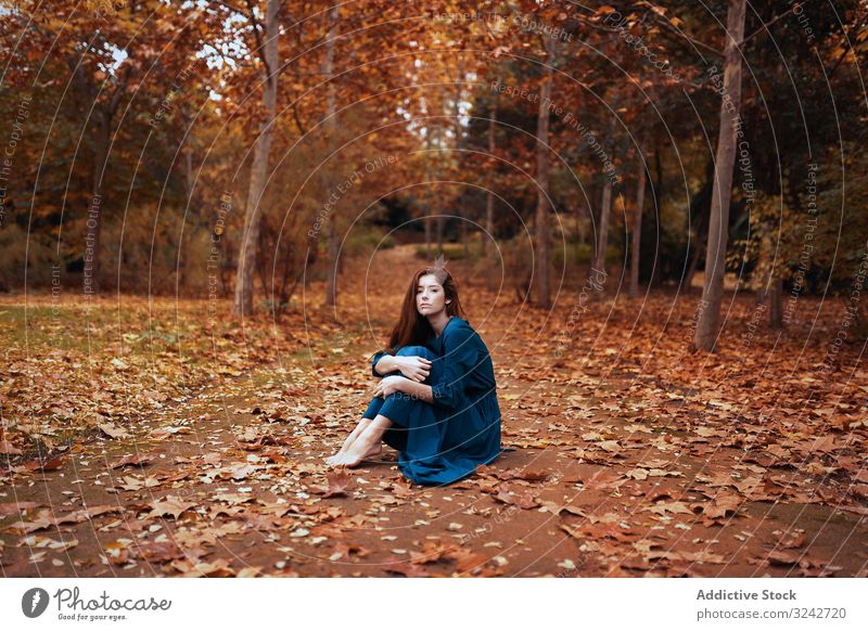 Melancholic woman sitting in orange autumn park alley melancholy nature vulnerable alone graceful embracing knees sensual solitude fall beautiful sad charming