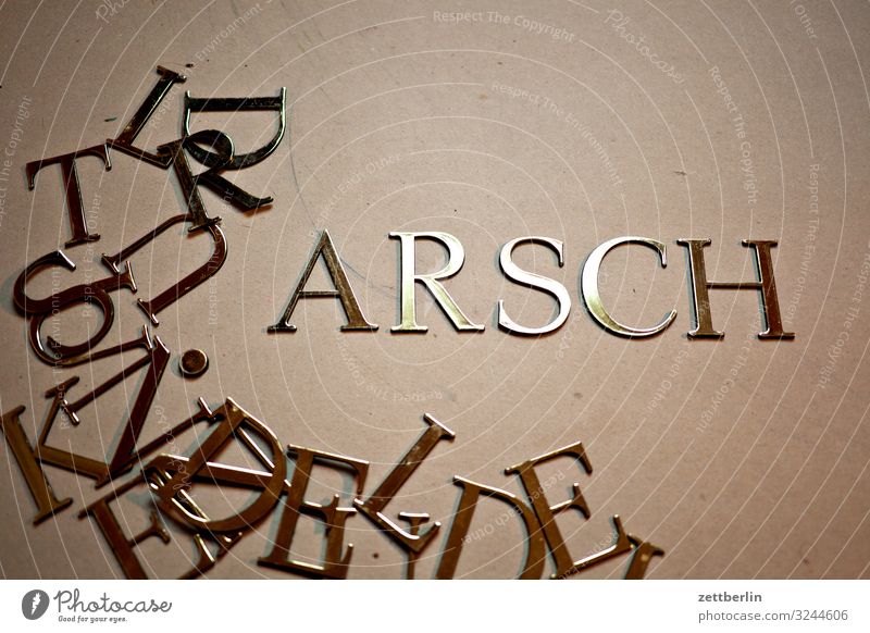 ARSCH Latin alphabet antiqua Letters (alphabet) single letter Classicism Text Characters Document Typesetter Typography Capital letter Word Cuss word Affront