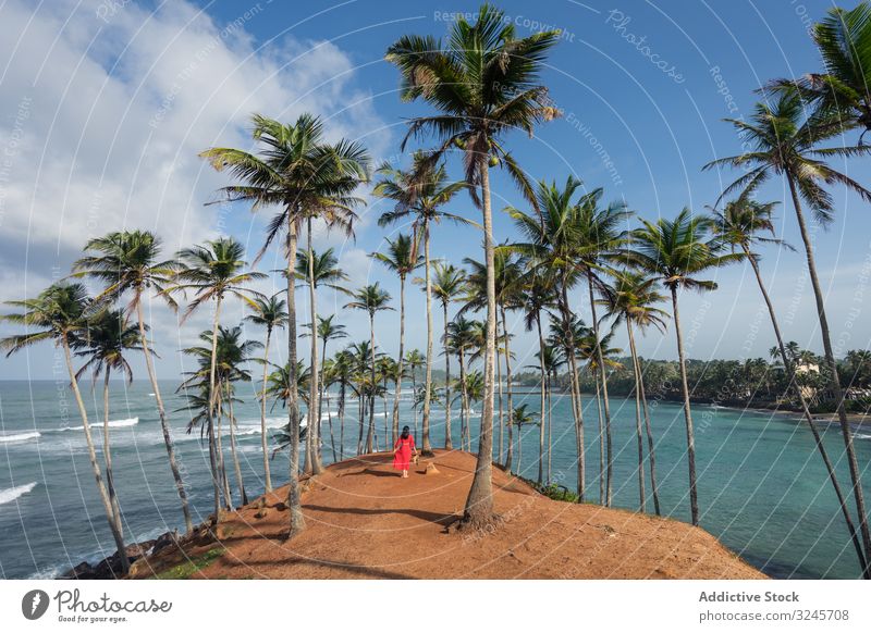 Tranquil female traveler among palms at seashore woman tourism summer vacation tree beach seaside ocean relaxation nature enjoy rest holiday lifestyle sunny