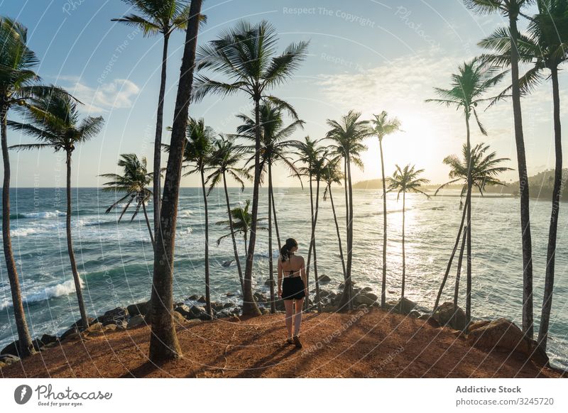 Tranquil female traveler among palms at seashore woman tourism summer vacation tree beach seaside ocean relaxation nature enjoy rest holiday lifestyle sunny