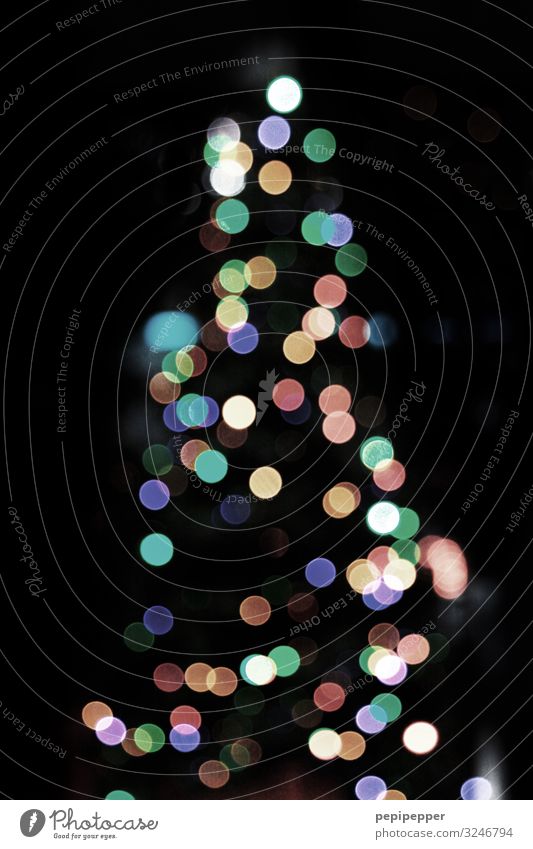 tree Christmas & Advent Tree Kitsch Odds and ends Ornament Graffiti Sphere Illuminate Multicoloured Christmas tree x-mas Fairy lights Subdued colour