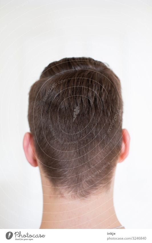 back of the head Style Masculine Young man Youth (Young adults) Head Hair and hairstyles 1 Human being 13 - 18 years 18 - 30 years Adults Short-haired Authentic