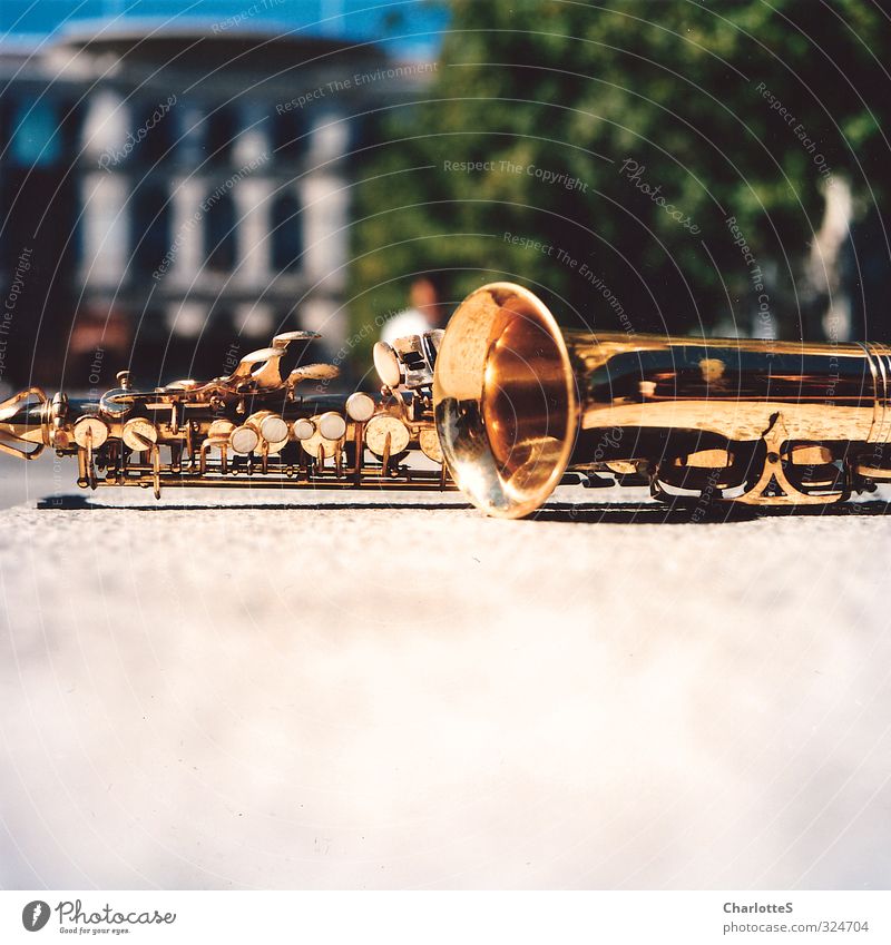 saxophones Metal Gold Town Saxophone filing Break Flap Clang Shadow Copper Wall (barrier) Treetop Medium format rolliflex Analog colour film Spain Sunbeam
