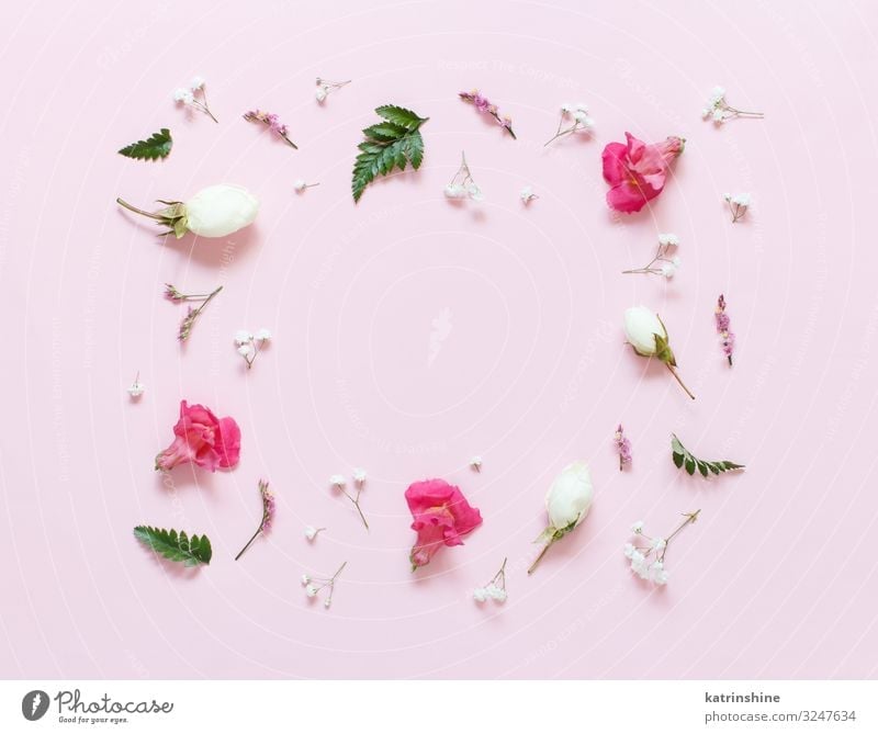 baby pink background designs