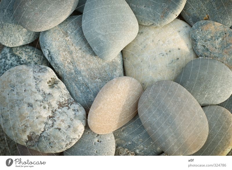 stones Environment Nature Beach North Sea Stone Old Denmark Colour photo Exterior shot Close-up Detail Pattern Structures and shapes Deserted Day Light Shadow