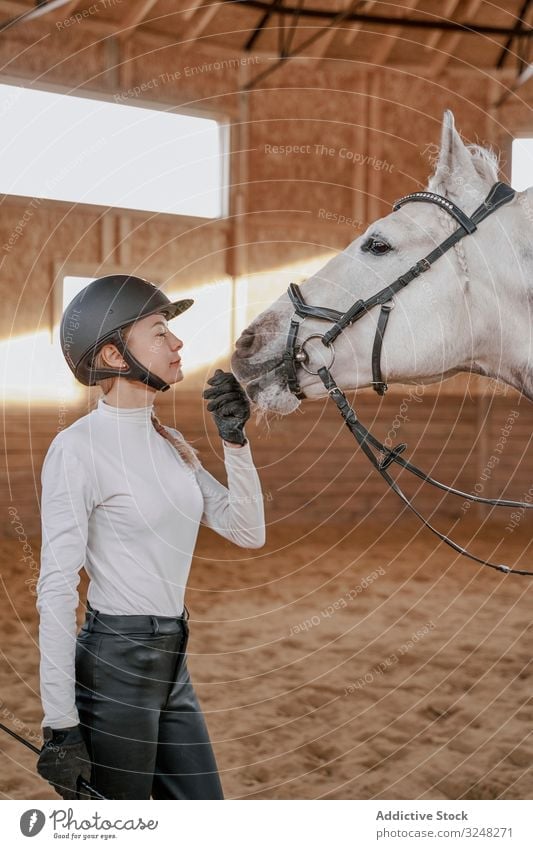 Rider riding dapple gray horse in round arena stock photo