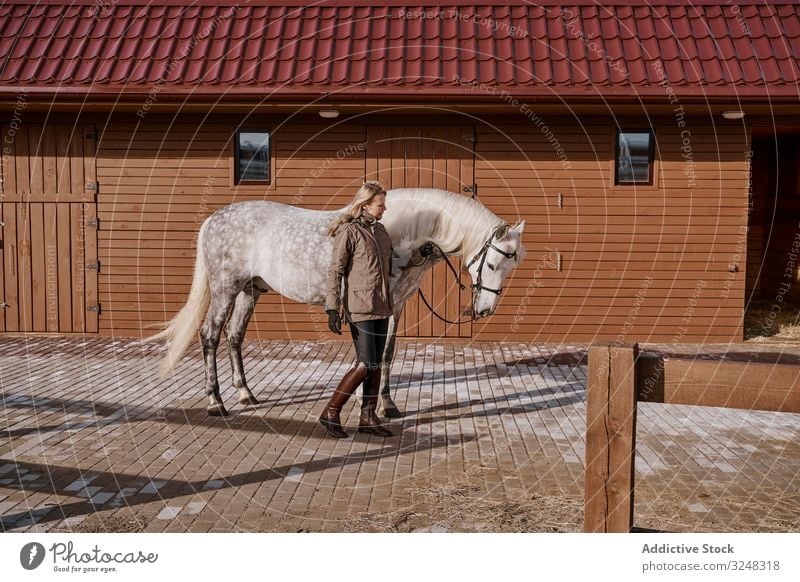 Warm dressed woman with gray horse outside - a Royalty Free Stock Photo  from Photocase