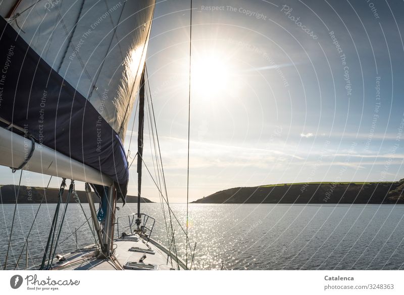 Sailing in calm, calm sea early in the morning Freedom Sailing ship Vacation & Travel North Sea Waves daylight Day Sky Horizon Summer Water Ocean Sailboat