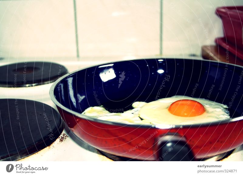 Fried egg in pan on stove Fried egg sunny-side up Pan Cooking boil Stove & Oven Kitchen Hotplate Egg Delicious Eating Interior shot Colour photo Close-up