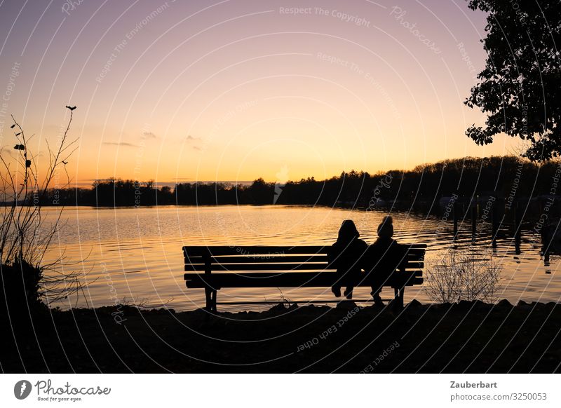Children on a bench, in the evening at Lake Tegel Trip Girl Boy (child) Brothers and sisters Infancy 3 - 8 years Water Sky Sunrise Sunset Autumn Lakeside