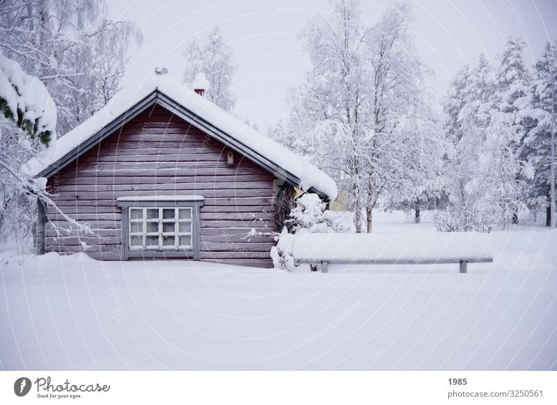 Snow-covered hut Winter Winter vacation House (Residential Structure) Nature Ice Frost Sweden Lapland Village Deserted Wood Glass Freeze To enjoy