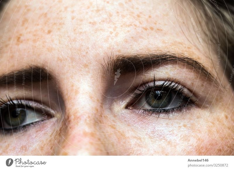 Eyes nose woman portrait with freckles close-up healthy skin Joy Happy Beautiful Skin Face Make-up Human being Woman Adults Lips Nature Fashion Brunette Smiling