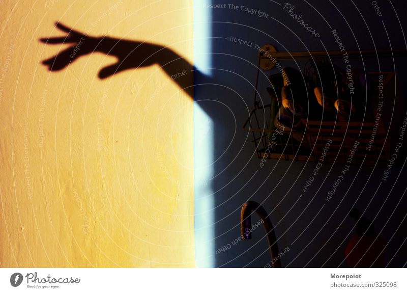 * Flat (apartment) Kitchen Woman Adults Arm Hand 1 Human being Moody Shadowy existence Shallow depth of field Shadow play Contrast Colour photo Deserted Day