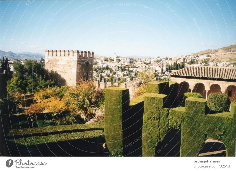 Alhambra Spain South Green Summer Moor Europe Nature Sun Architecture