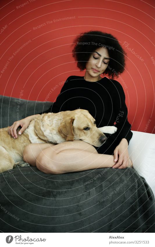 Woman and Labrador on an armchair in front of a red wall Style Joy Beautiful Harmonious Living or residing Flat (apartment) Room Young woman