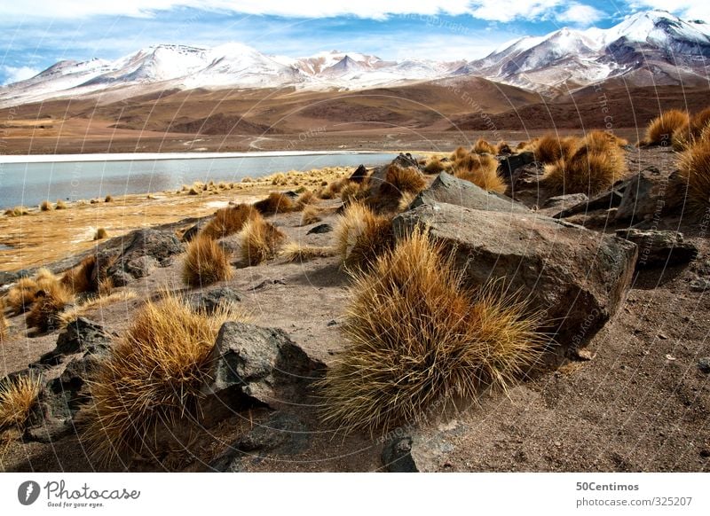 Mountain lake in the Andes in Bolivia with snow and try Plants Nature Landscape Sand Water Clouds Winter Climate Beautiful weather Snow Lake South America Calm