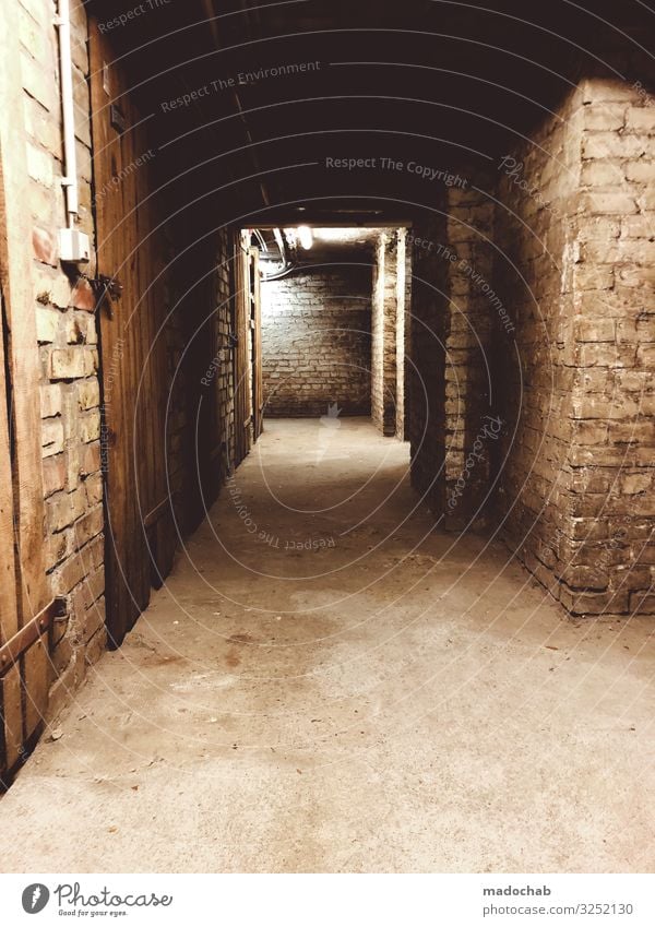 cellar Cellar Wall (barrier) Wall (building) Old Dirty Dark Disgust Creepy Hideous Historic Cold Broken Calm Fear Horror Fear of death Dangerous Nerviness