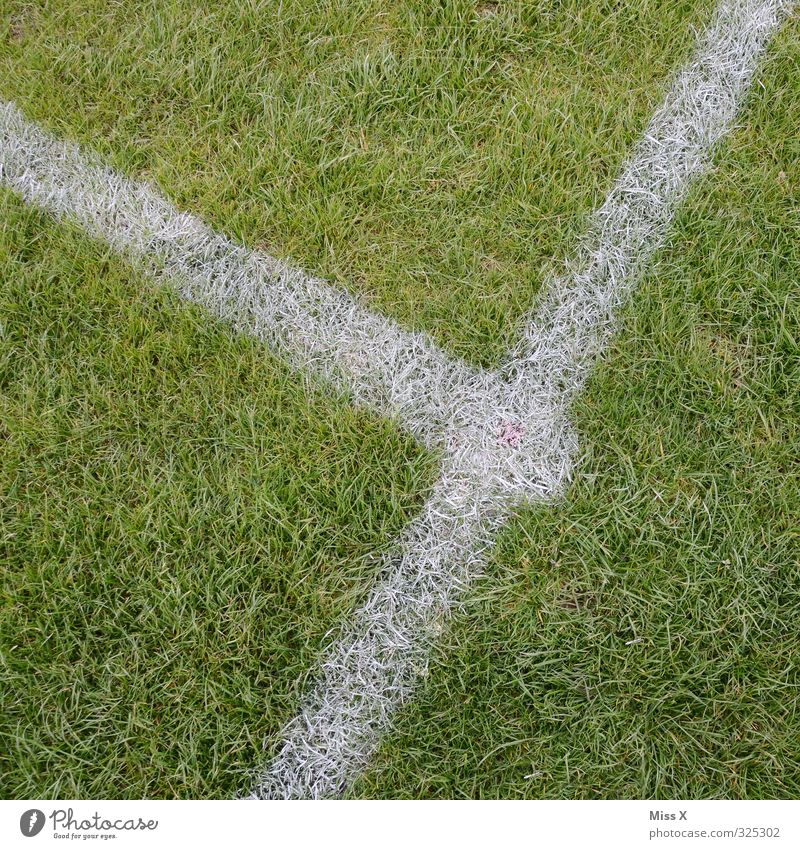 meeting place Sports Ball sports Sporting Complex Football pitch Grass Playing Green Grass surface Line Corner Center line Signs and labeling Marker line