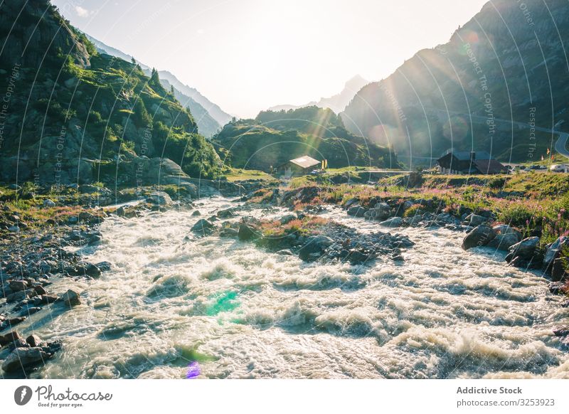 Foamy mountain stream flowing through stones in sunlight river nature power creek park water landscape travel waterfall scenic natural cascade motion scenery