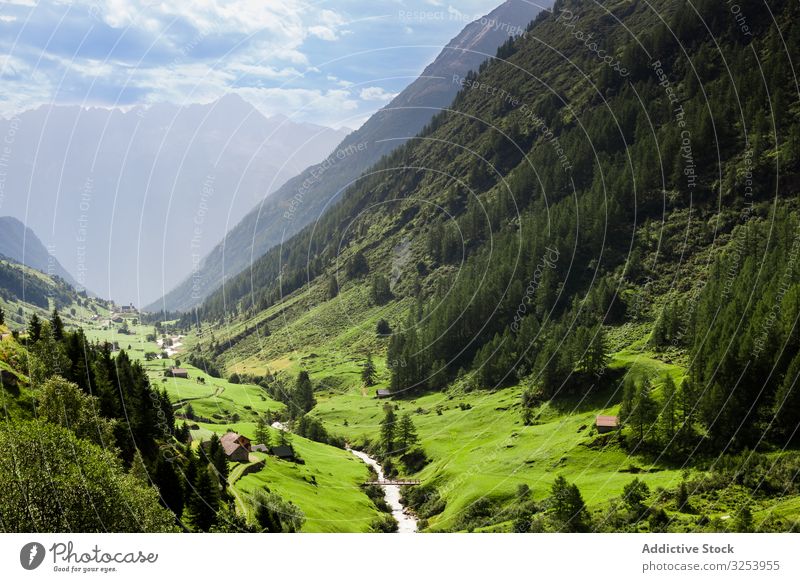 village on hillside meadow with forest in mountain Free Photo