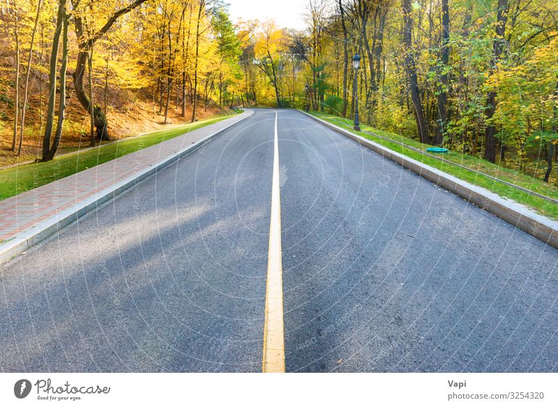 Road and autumn landscape Lifestyle Beautiful Vacation & Travel Trip Adventure Summer vacation Environment Nature Landscape Sunrise Sunset Sunlight Spring