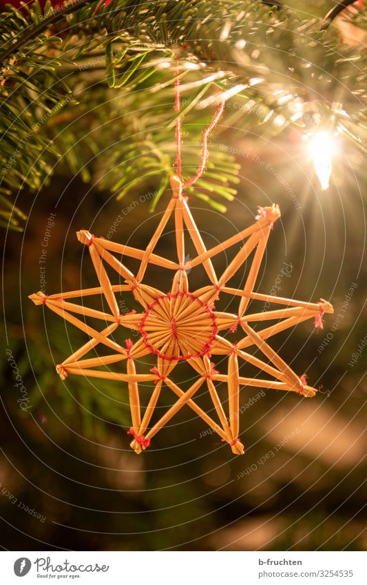 Straw star on Christmas tree Night life Feasts & Celebrations Christmas & Advent Decoration Hang Safety (feeling of) Religion and faith straw star Star (Symbol)