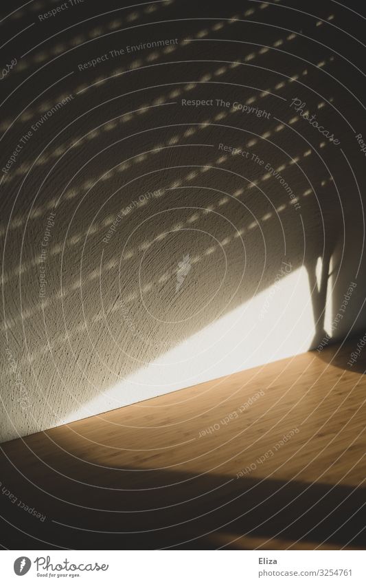 Shadow of a roller shutter on the wall Roller shutter Wall (building) Venetian blinds sunshine Sun sun protection Dark darken Roller blind Light Shaft of light