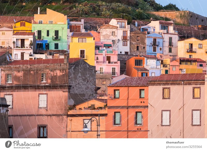 picturesque old town in Italy Vacation & Travel Summer pink Sardinia Small Town Downtown Old town Skyline House (Residential Structure) Design Colour Nostalgia