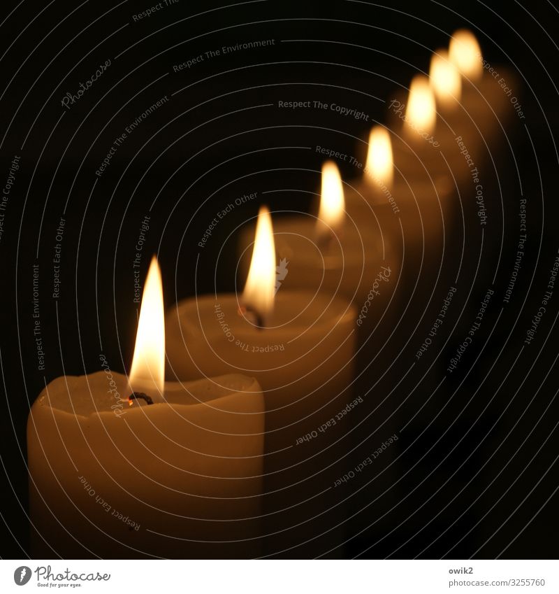 Attention! Candle Candlelight Flame Illuminate Many Accuracy Arrangement Direct Line Dark Warm light Candlewick Colour photo Exterior shot Detail Deserted