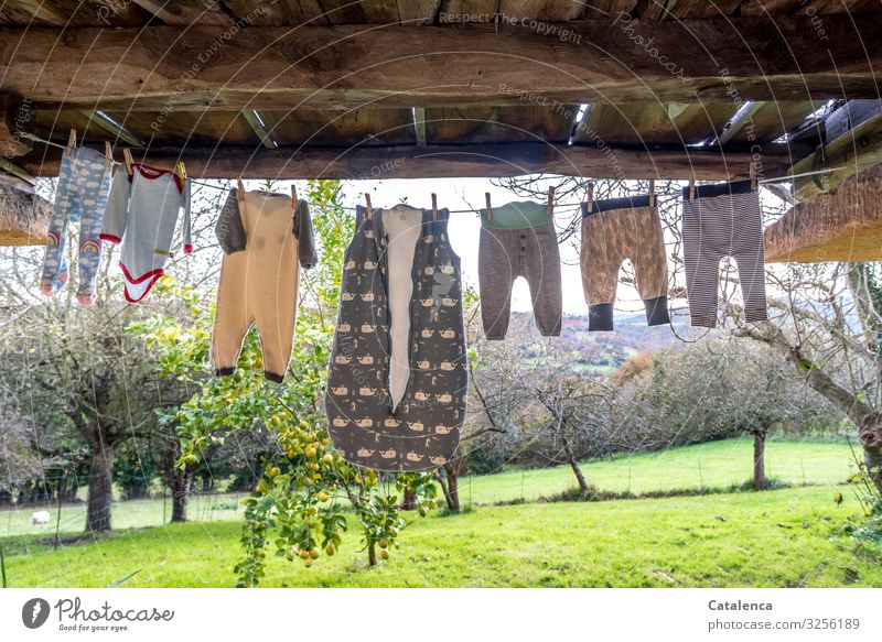Rope team | baby clothes are hanging in the autumnal breeze under a balcony to dry, a lemon and several fruit trees stand on a meadow in the background Layette