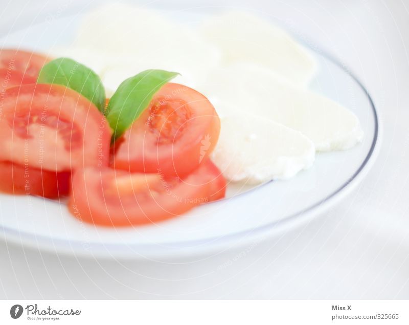 red white green Food Dairy Products Vegetable Herbs and spices Nutrition Lunch Buffet Brunch Banquet Italian Food Plate Fresh Healthy Delicious Tricolor Tomato