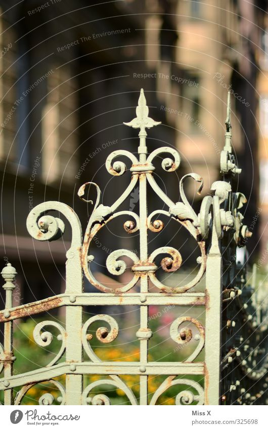 old Living or residing Dream house Garden Decoration Outskirts Old town Church Palace Historic Art nouveau Wrought iron Fence Metalware Curlicue Point