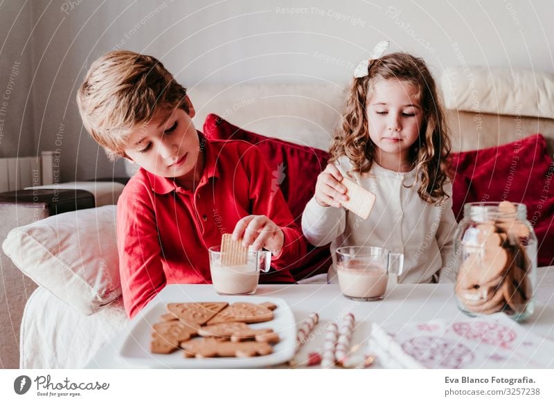 beautiful brother and sister at home having a delicious snack. Christmas concept Snack Cookie Candy Brother Sister siblings Christmas & Advent Home Blonde